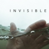 invisible;