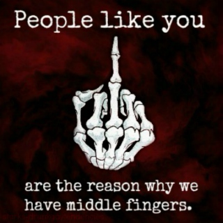 People Like YOU Are The Reason We Have Middle Fingers.