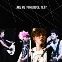 are we punk rock yet?