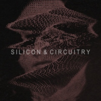 silicon and circuitry