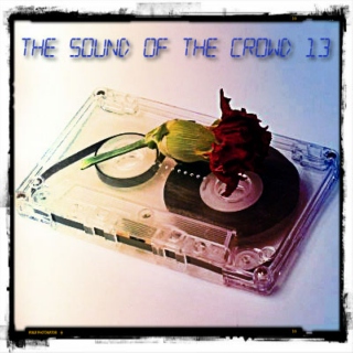 The Sound Of The Crowd Vol. 13