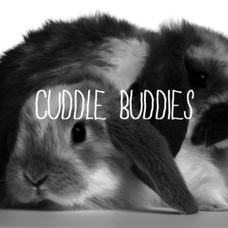 Cuddle with Me
