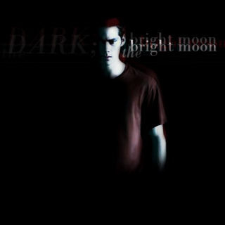 the dark; the bright moon