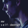 mr self-destruct