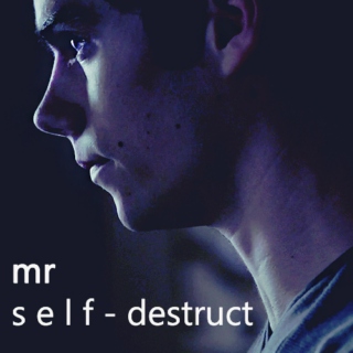 mr self-destruct