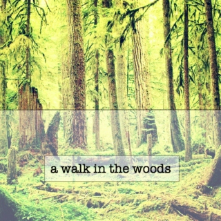 a walk in the woods