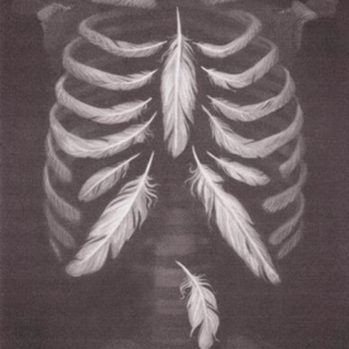 Feathers in our bones.
