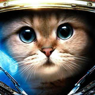 Space Cat Mix Episode 2