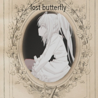 lost butterfly