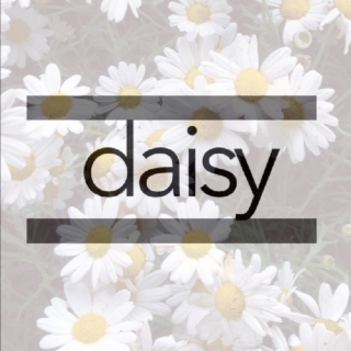 daisy ♡