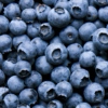 In the absence of blueberries