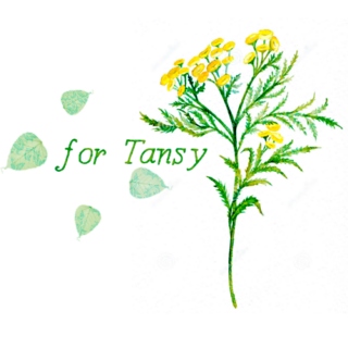 For Tansy