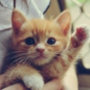 Gimme paw...oops five!