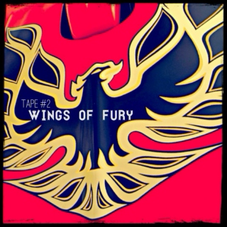 TAPE #2: Wings of Fury