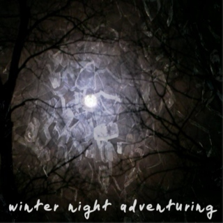 winter night adventuring