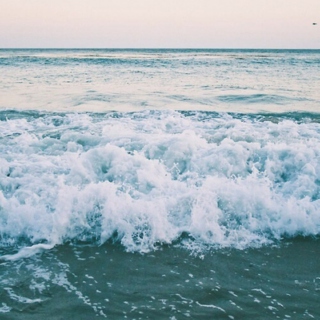☀ beach vibes ☀