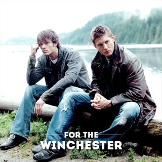 For the WINchester