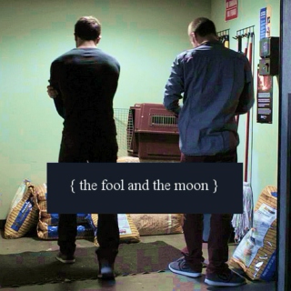 The fool and the moon