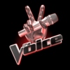 The best of The Voice - 2013