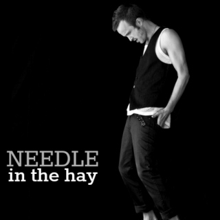 needle in the hay