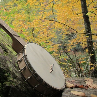 Banjos in the Woods