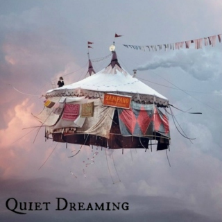 Quiet dreaming