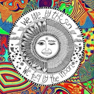 We Live By the Sun 