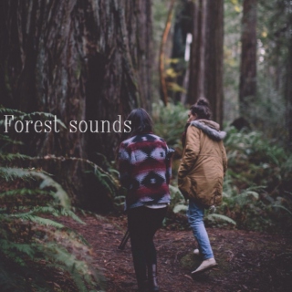 Forest sounds