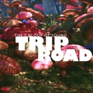 TRIP ROAD | the colour of sound