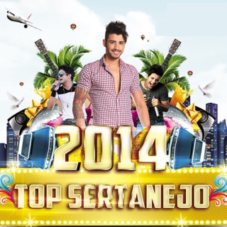 Top Sertanejo 2014