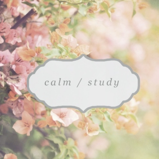 calm / study