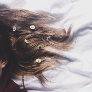 ❁ flowers in her hair ❁