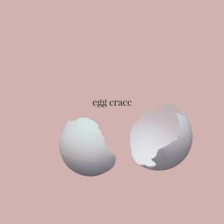 egg cracc