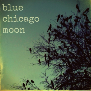 blue chicago moon