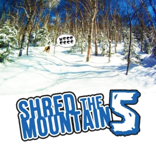 Shred the Mountains V
