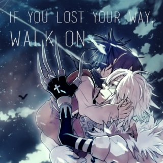 if you lost your way, walk on