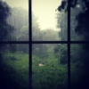 rainy daze