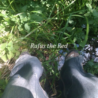 Rufus The Red