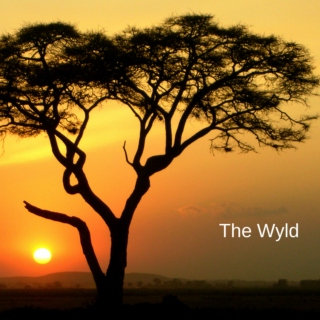 The Wyld