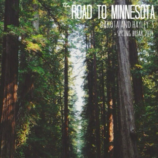 the road to Minnesota 