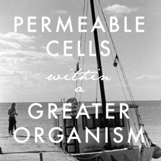 Permeable Cells