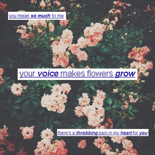.:your νσι¢є makes flowers gяσω:.