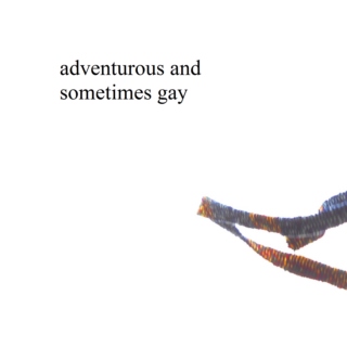 adventurous and sometimes gay