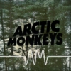 "we are the arctic monkeys"