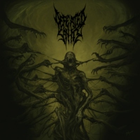 Death / Brutal Death Metal (8)