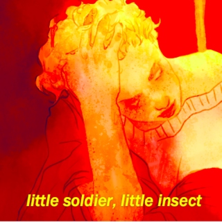 little soldier, little insect