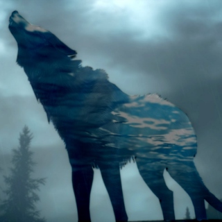 Wolf and Water