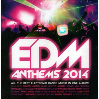 EDM Anthem 2014 (Personal fav 13)