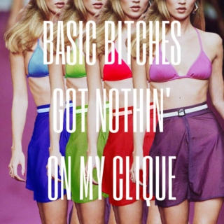 Basic Bitches Got Nothin' On My Clique