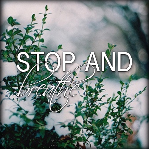 Stop and breathe